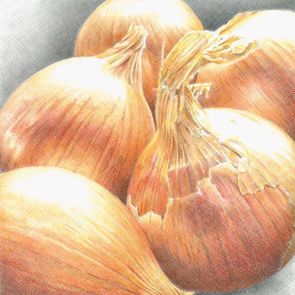 Sketch-of-Onions
